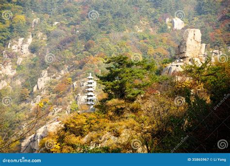 如何坐車去嶗山：嶗山的風景不僅吸引遊客，也引發了無數關於交通方式的討論。